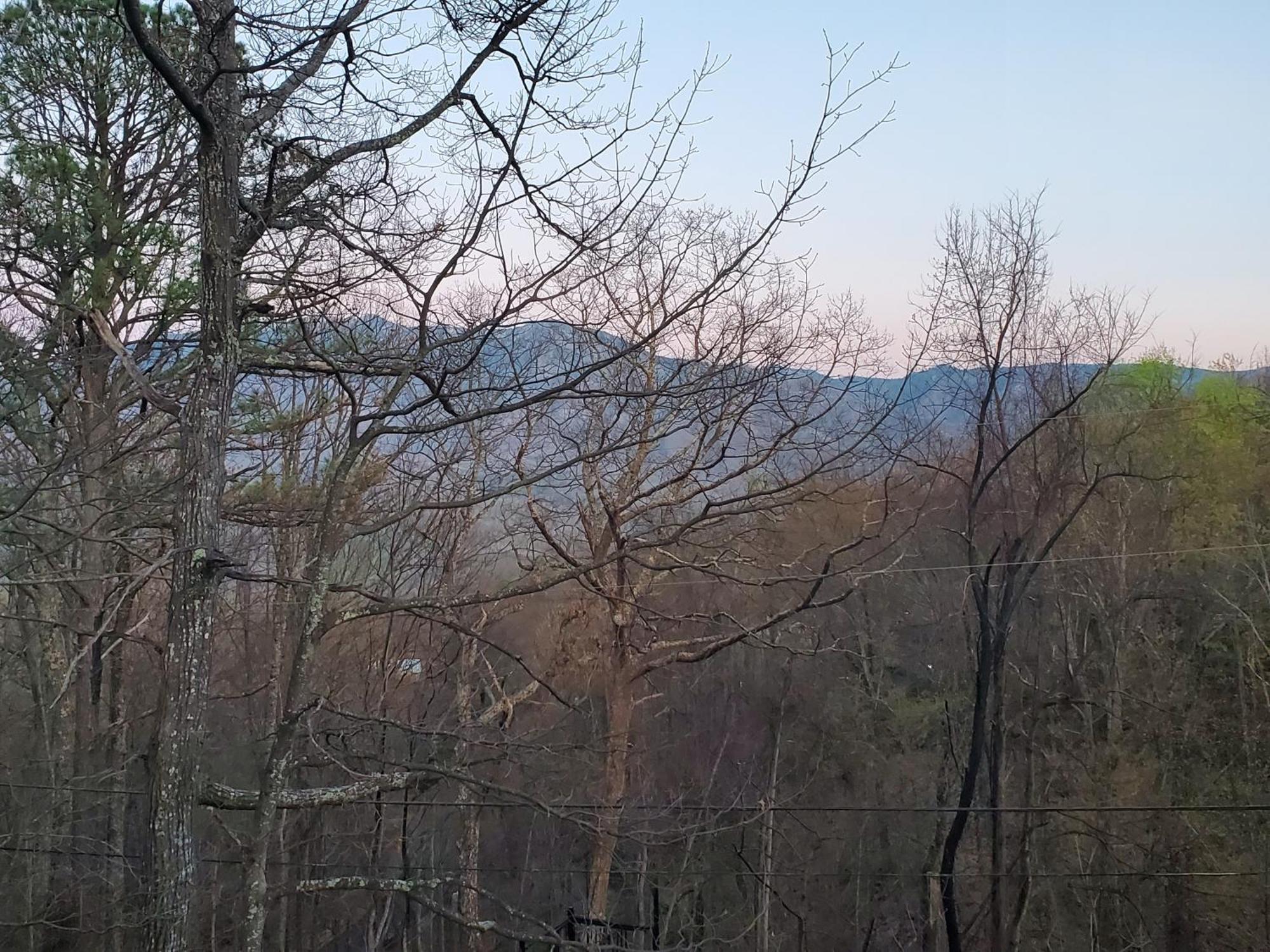 Treetops Chalet - 3Bd/2Bt Boutique Cabin W/Mt Leconte Views In Gatlinburg Kültér fotó